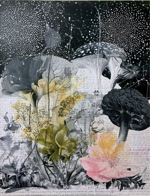 Collage Soup Botanica Obscura — Midnight Garden Collage Papers eBook