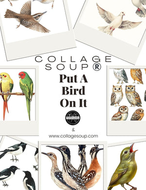 Collage Soup Put a Bird On It (eBook) • Printable Birds for Journals & Fodder Creators