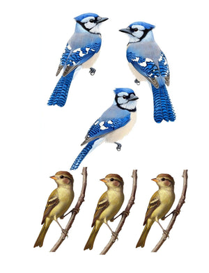 Collage Soup Put a Bird On It (eBook) • Printable Birds for Journals & Fodder Creators – 40 Pages