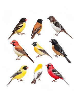 Collage Soup Put a Bird On It (eBook) • Printable Birds for Journals & Fodder Creators – 40 Pages