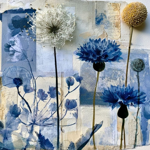 Botanical Wonders