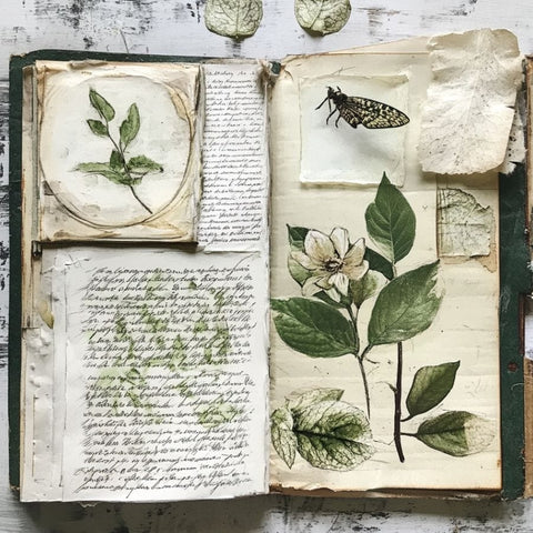 Nature Journaling
