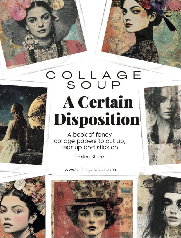 Collage Soup A Certain Disposition eBook