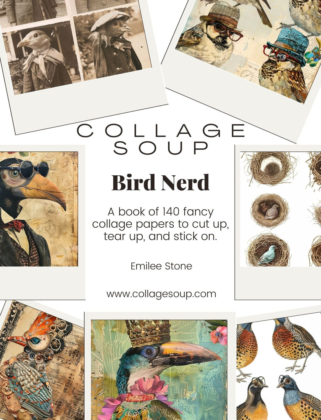 Collage Soup Bird Nerd eBook