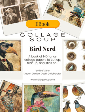 Collage Soup Bird Nerd (eBook) Printable Quirky Birds Collage Sheets – Digital Download