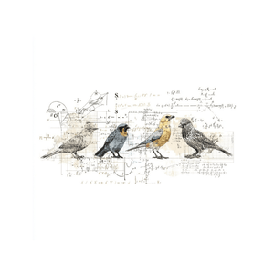Collage Soup Bird Nerd Paper Bites | Die Cuts | Premium Pieces for Collage, Journaling, Mixed Media