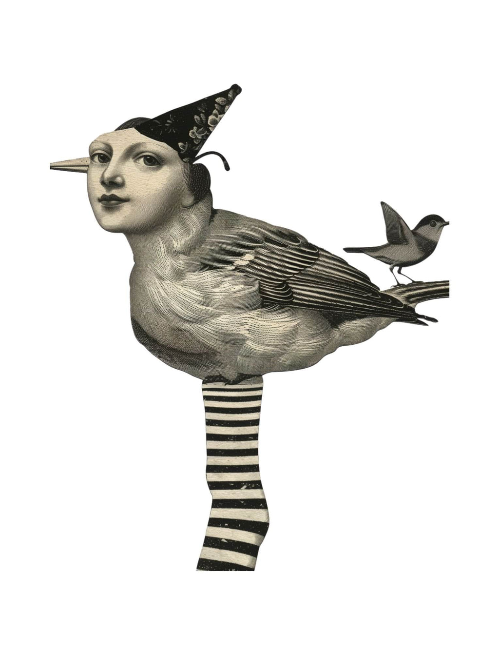 Collage Soup Birds Of A Feather – Whimsical 72-Page Printable eBook