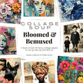 Collage Soup Bloomed & Bemused: Fancy Collage Papers of Faces & Flowers