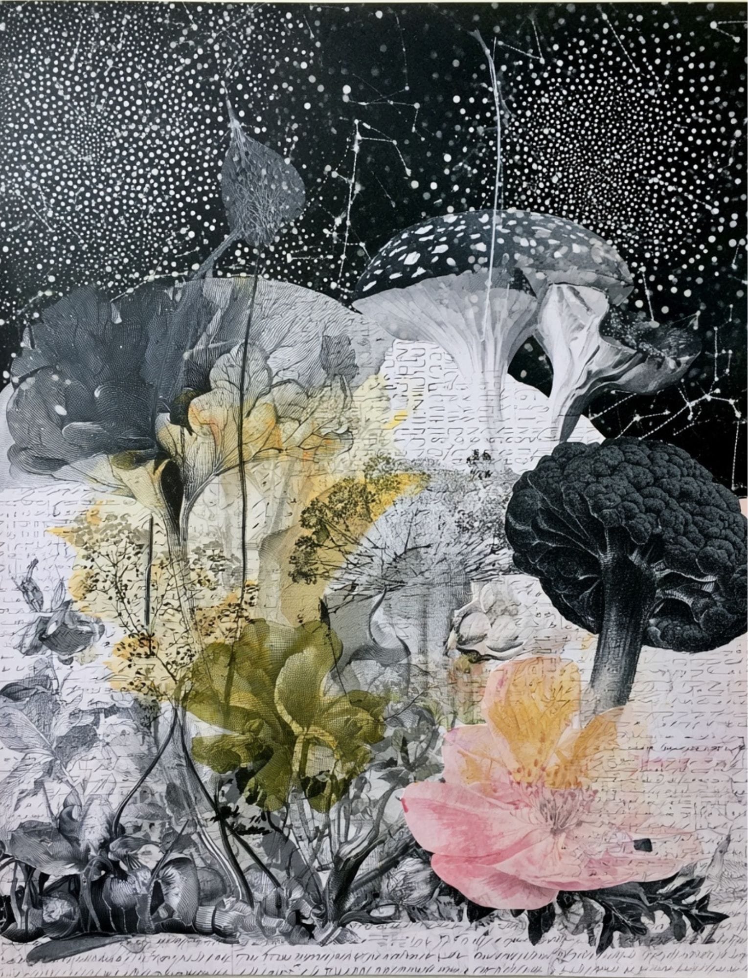 Collage Soup Botanica Obscura — Midnight Garden Collage Papers eBook
