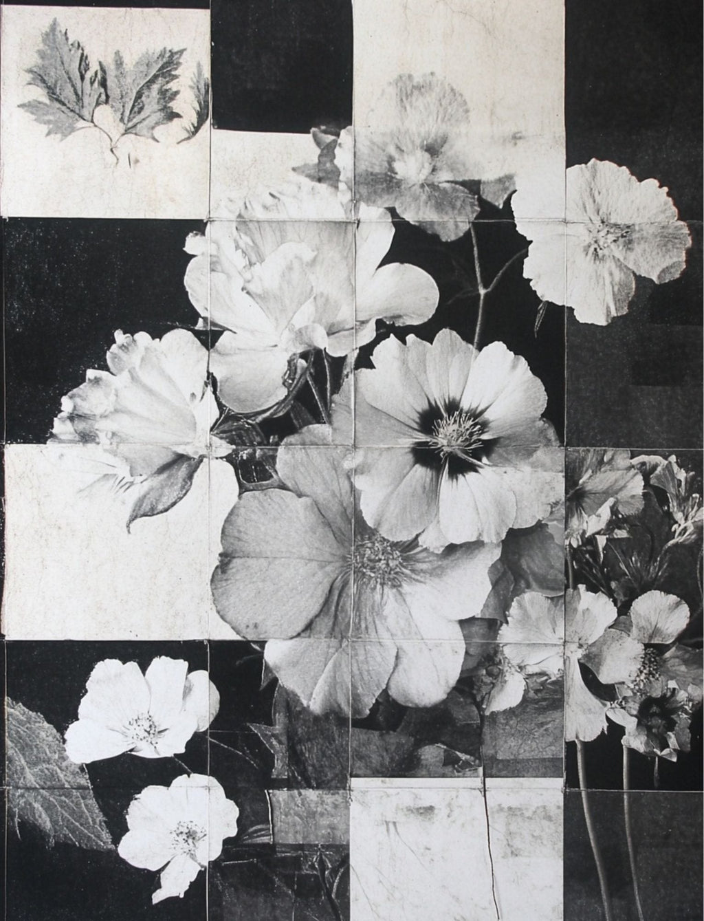 Collage Soup Botanica Obscura — Midnight Garden Collage Papers eBook