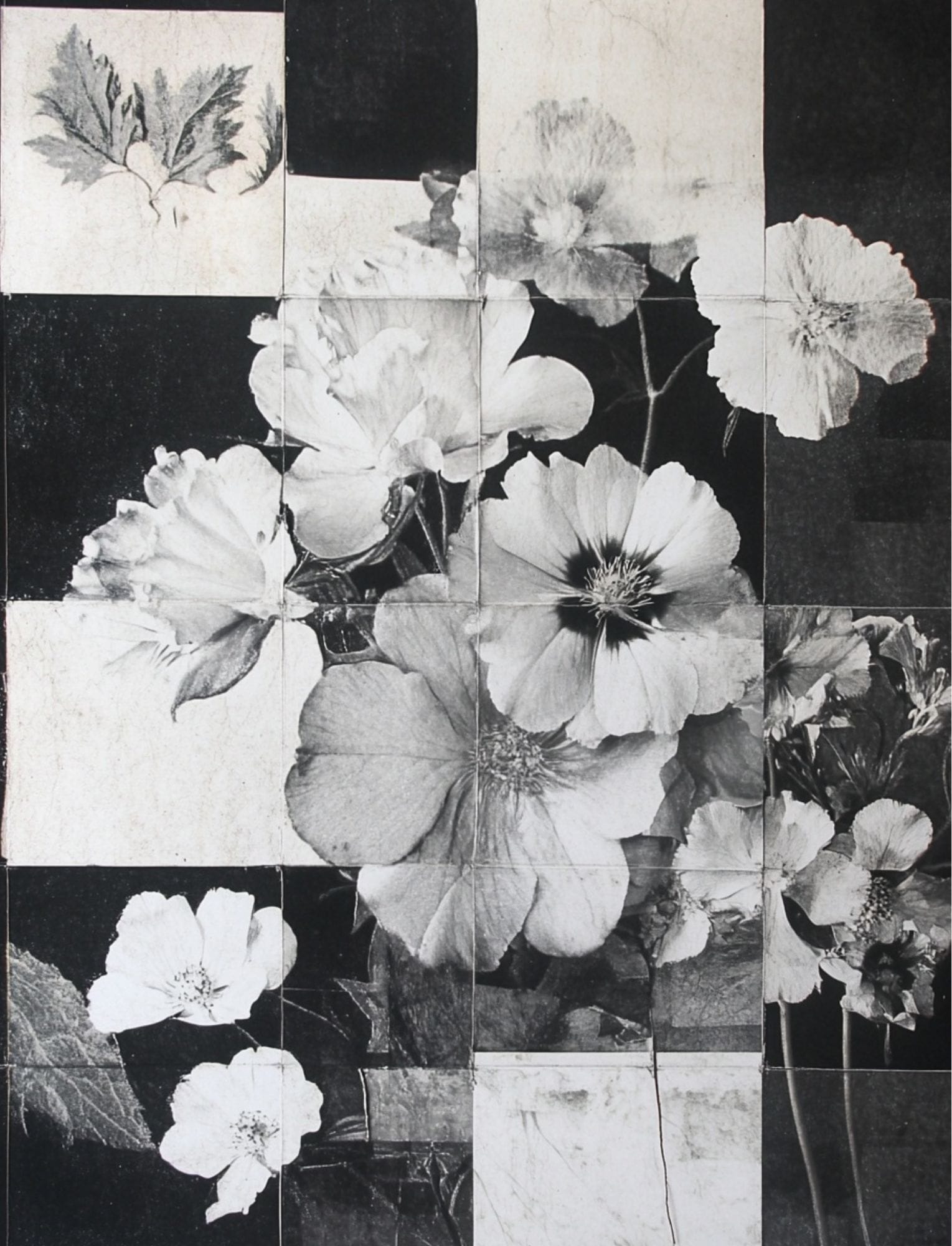 Collage Soup Botanica Obscura — Midnight Garden Collage Papers eBook