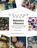 Collage Soup Botanica Obscura Paperback