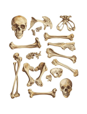 Collage Soup Collector’s Edition – Paperback | 72 Pages of Small Collage Images & Vintage Curiosities