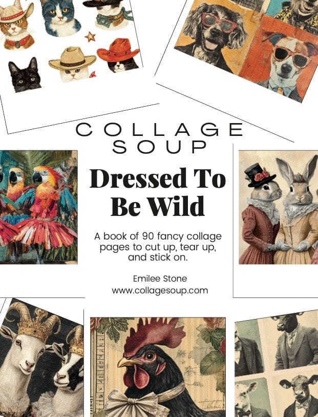 Collage Soup Dressed To Be Wild eBook