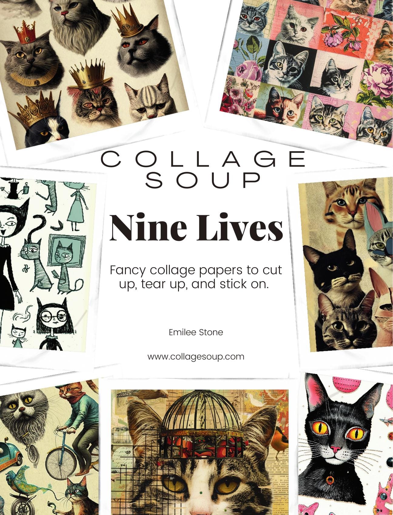 Collage Soup Nine Lives