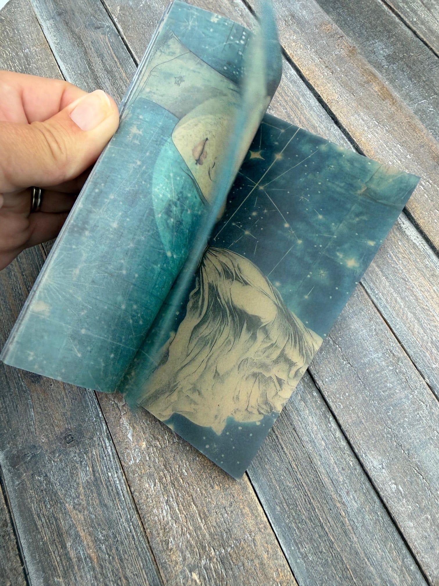 Collage Soup Stardust Reverie Vellum Scrap Pack