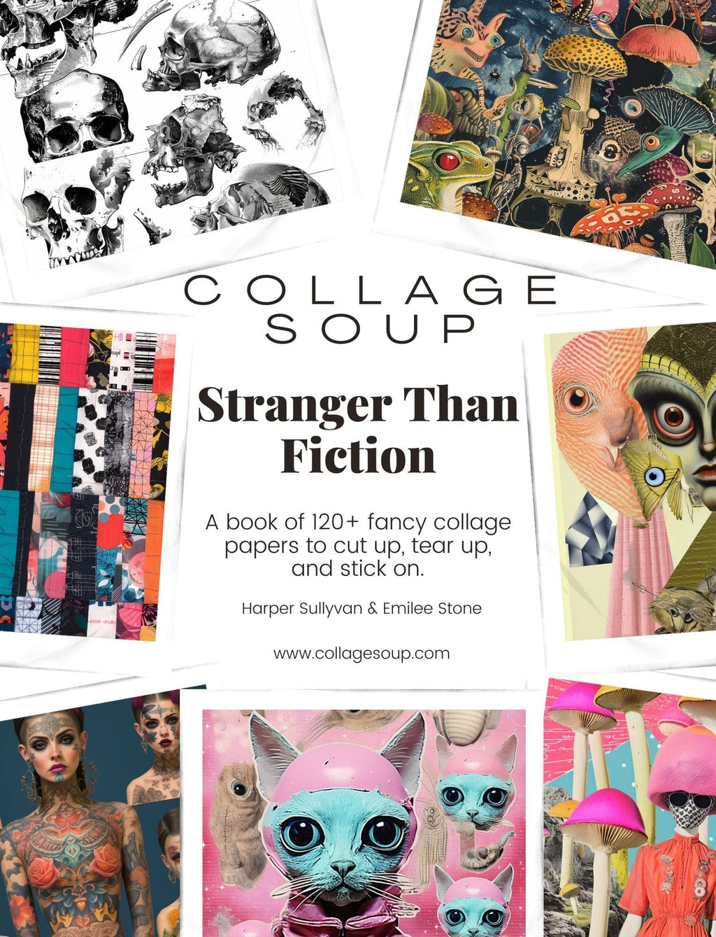 Collage Soup Stranger Than Fiction eBook
