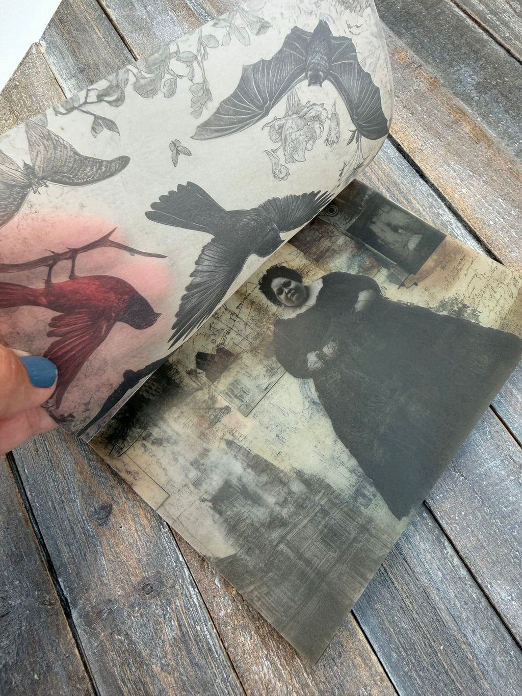 Collage Soup The Haunted Archive — Halloween Vellum Pad