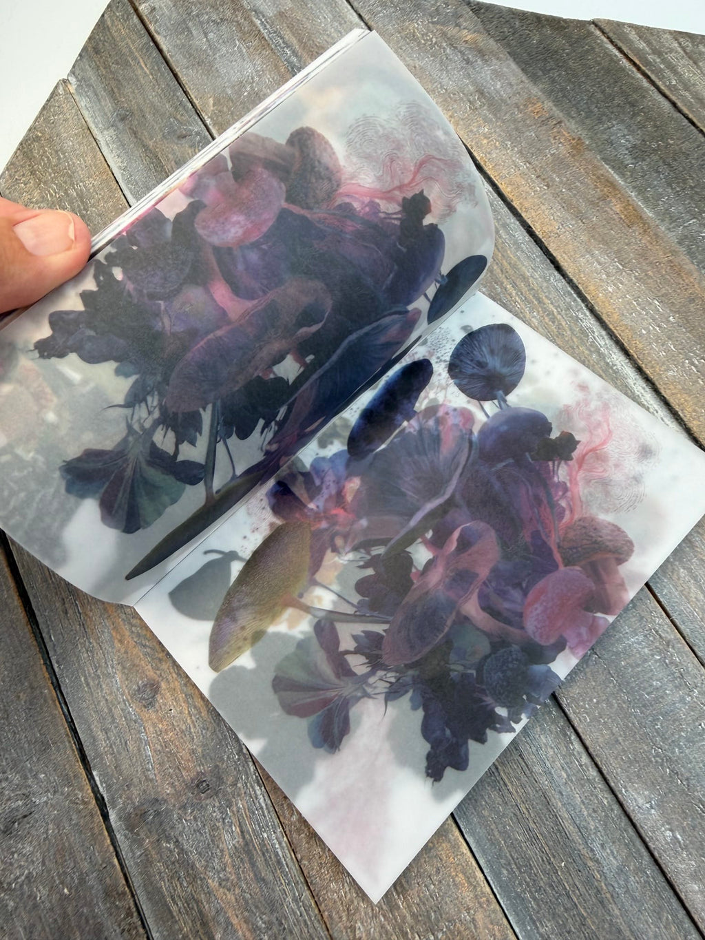 Collage Soup Wild Botanica Bundle — Vellum Scrap Pad + Botanica Obscura eBook