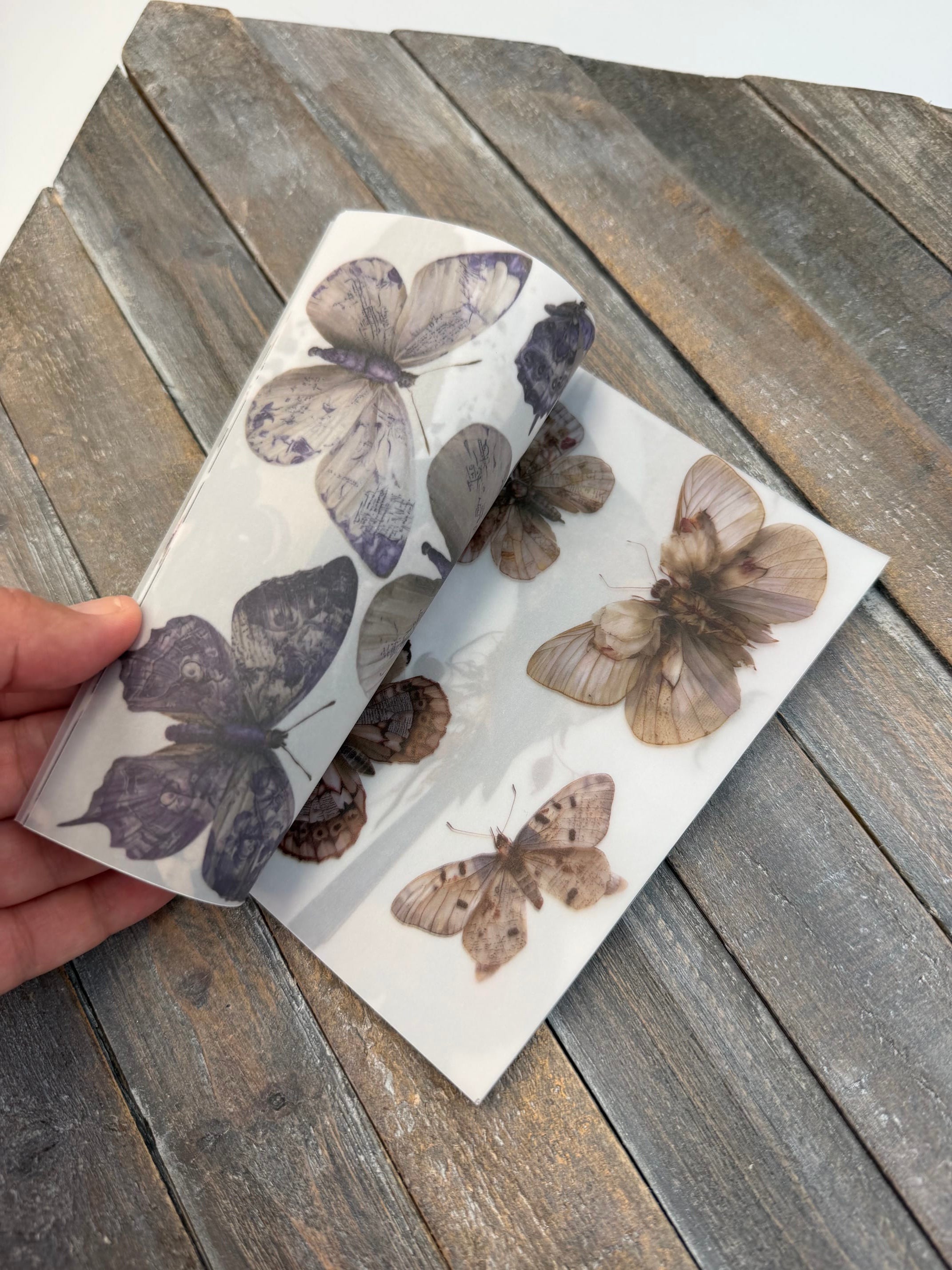 Collage Soup Wild Transparency — Vellum Scrap Pad
