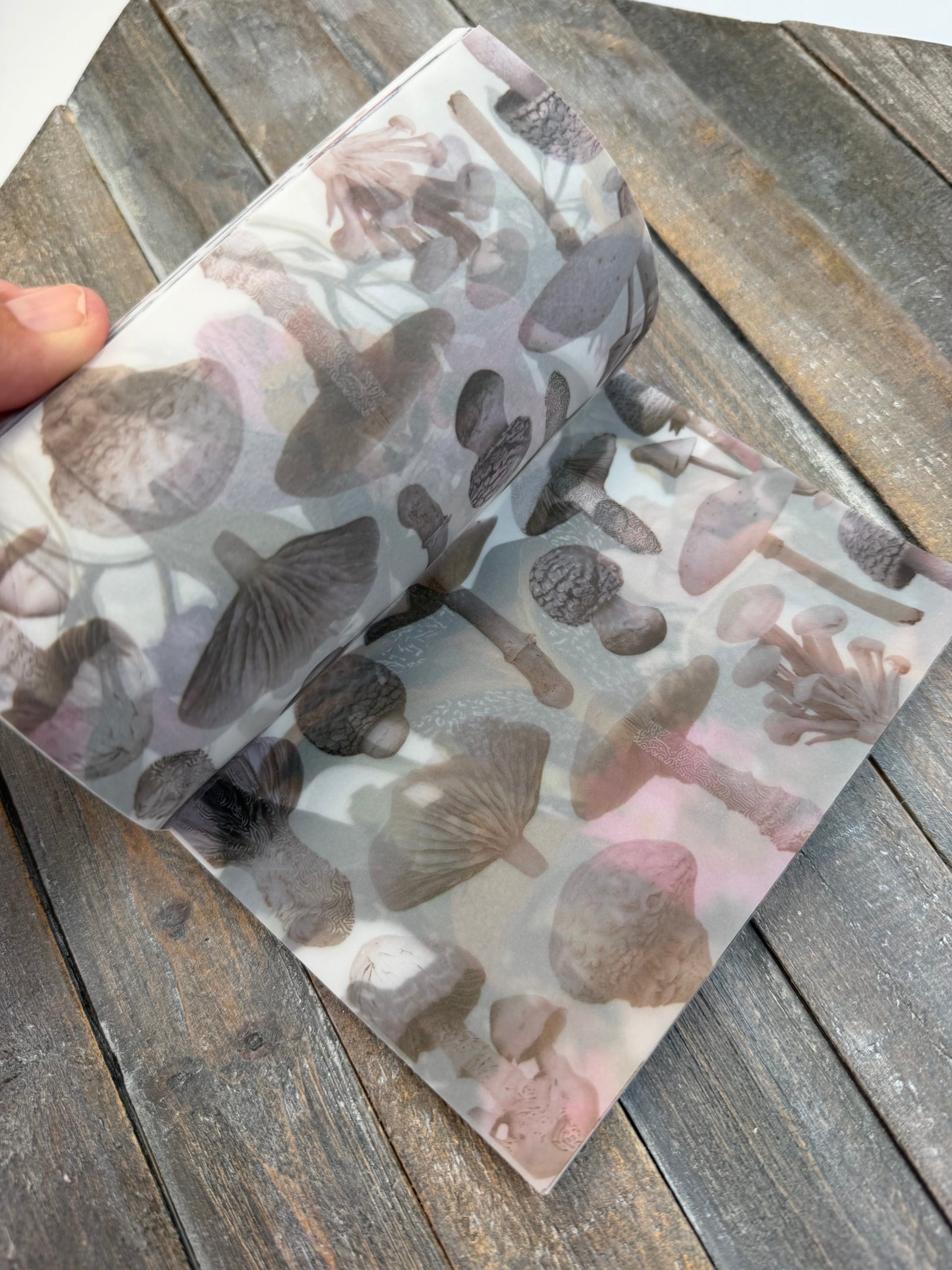 Collage Soup Wild Transparency — Vellum Scrap Pad