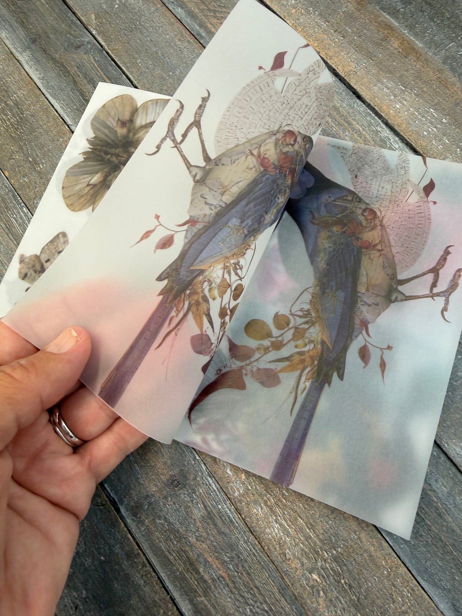Collage Soup Wild Transparency — Vellum Scrap Pad