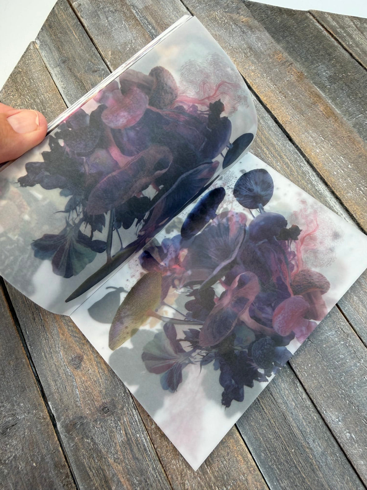 Collage Soup Wild Transparency — Vellum Scrap Pad