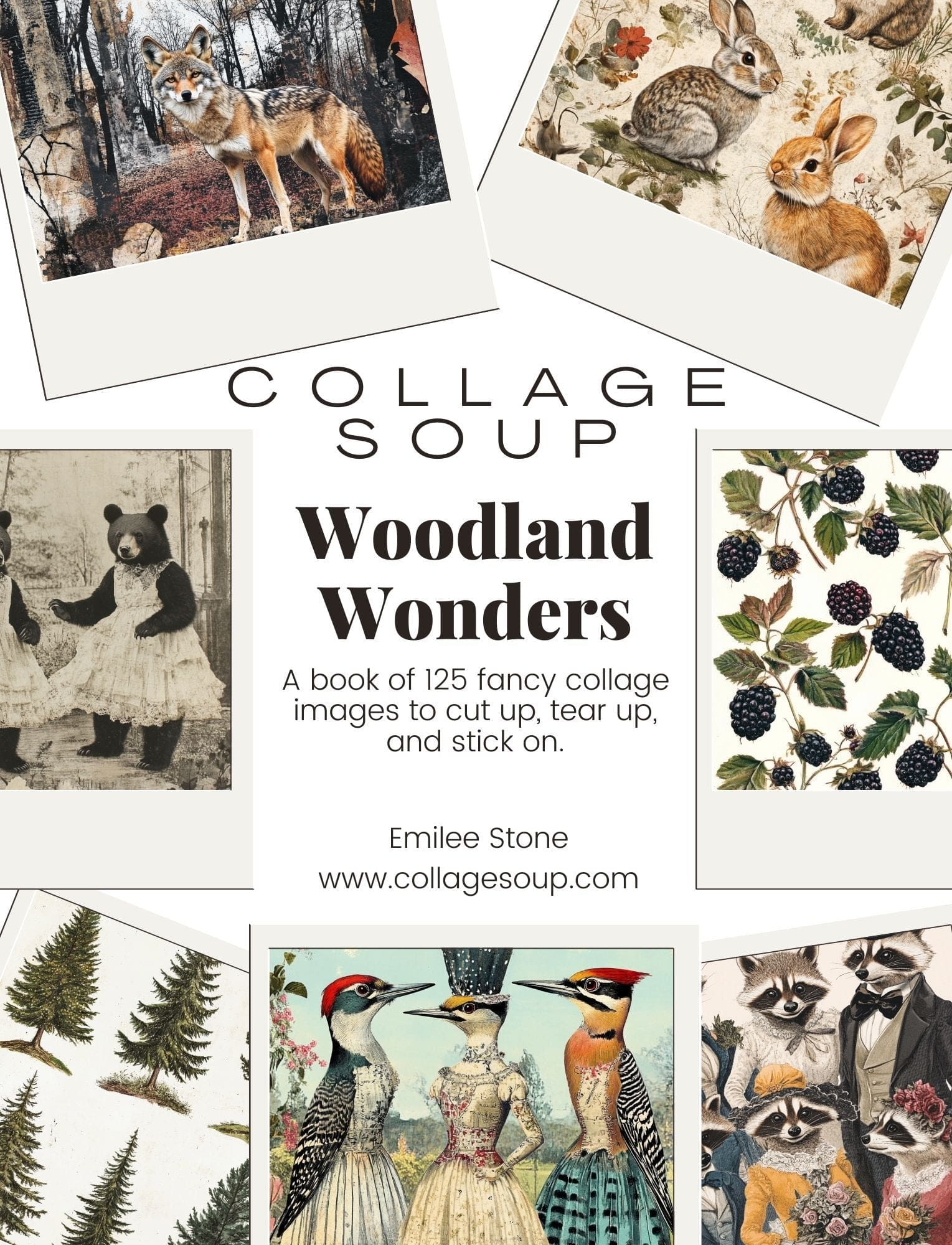 Collage Soup Woodland Wonders eBook