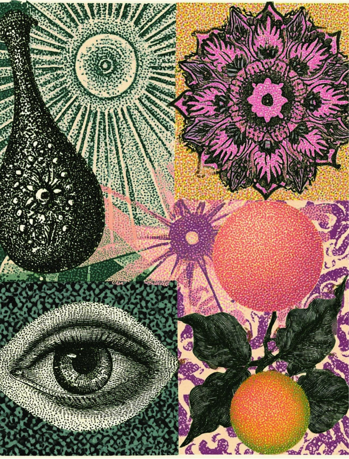 Sample page from Get To The Point: vintage halftone collage of an eye, a mandala flower, a sunburst, a fig and an orange on bold color blocks