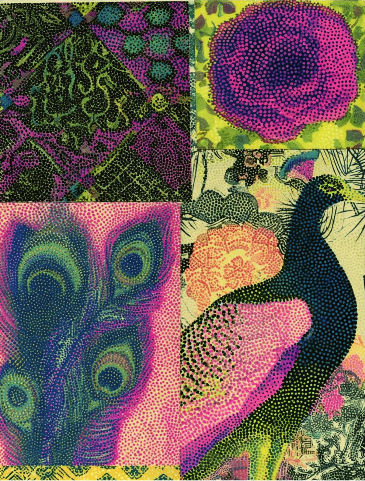 Sample page from Get To The Point: dotted halftone collage of peacock feathers, a peacock and a magenta bloom in pink, blue and green