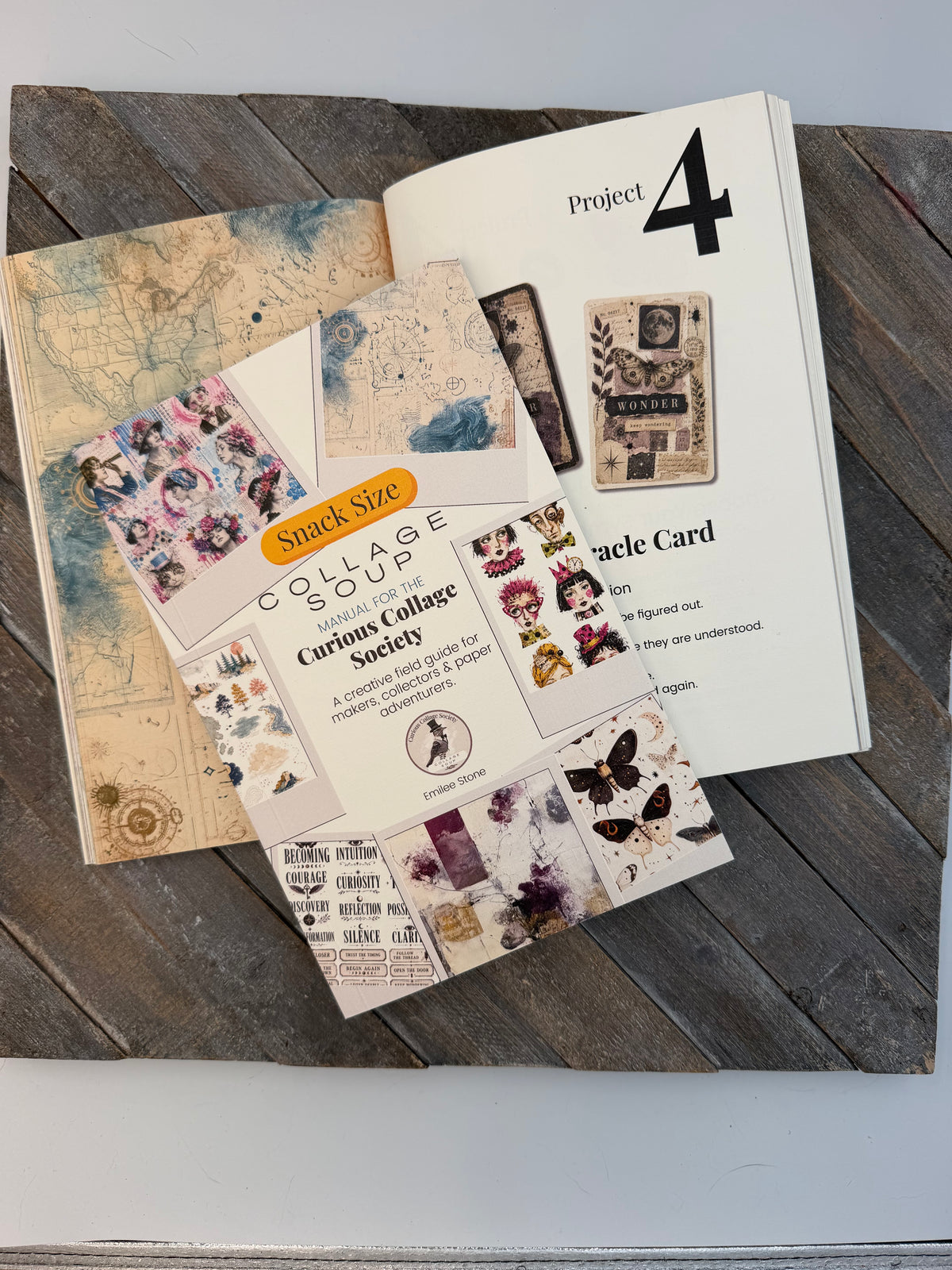 Manual for the Curious Collage Society