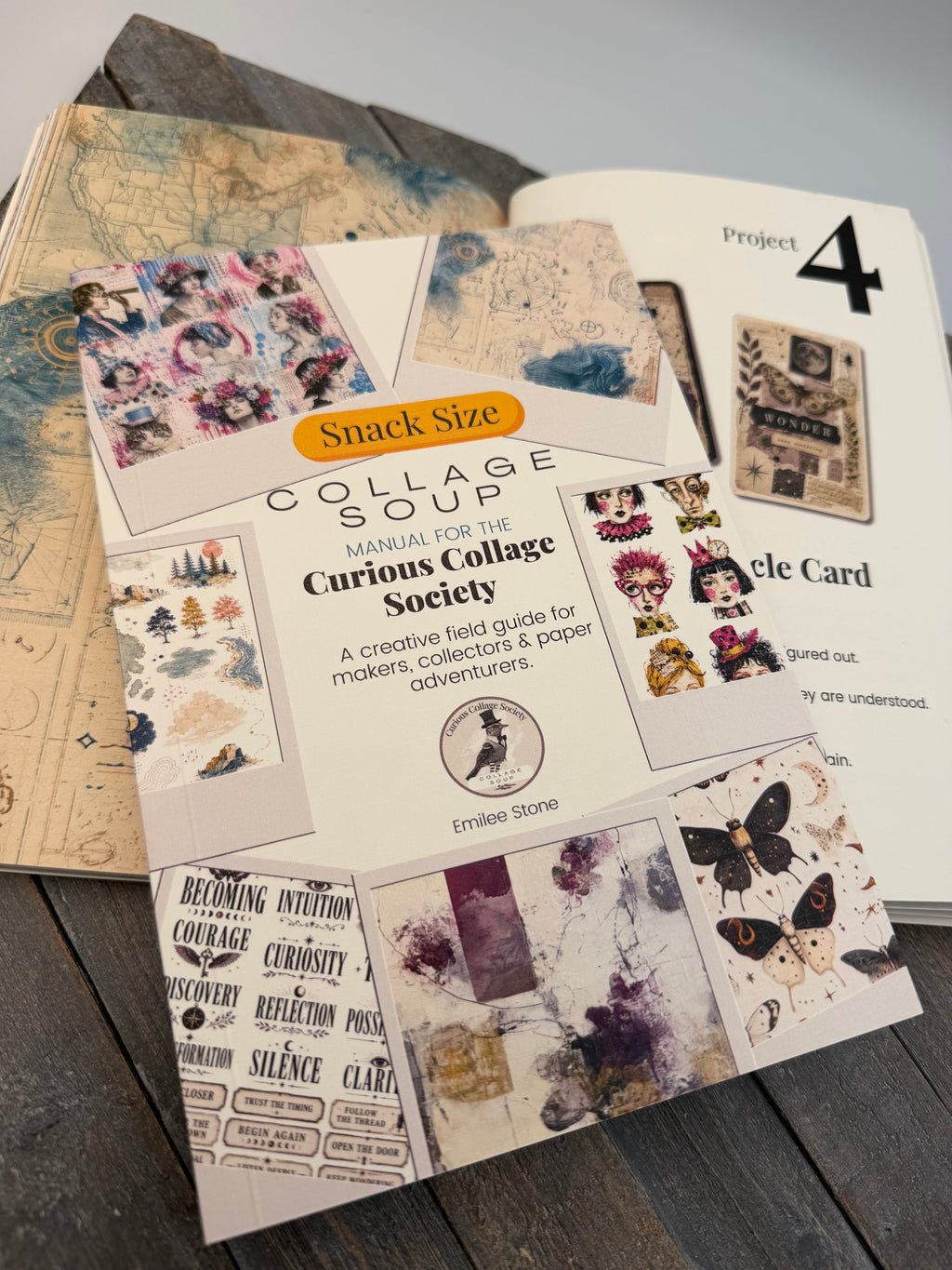 Manual for the Curious Collage Society