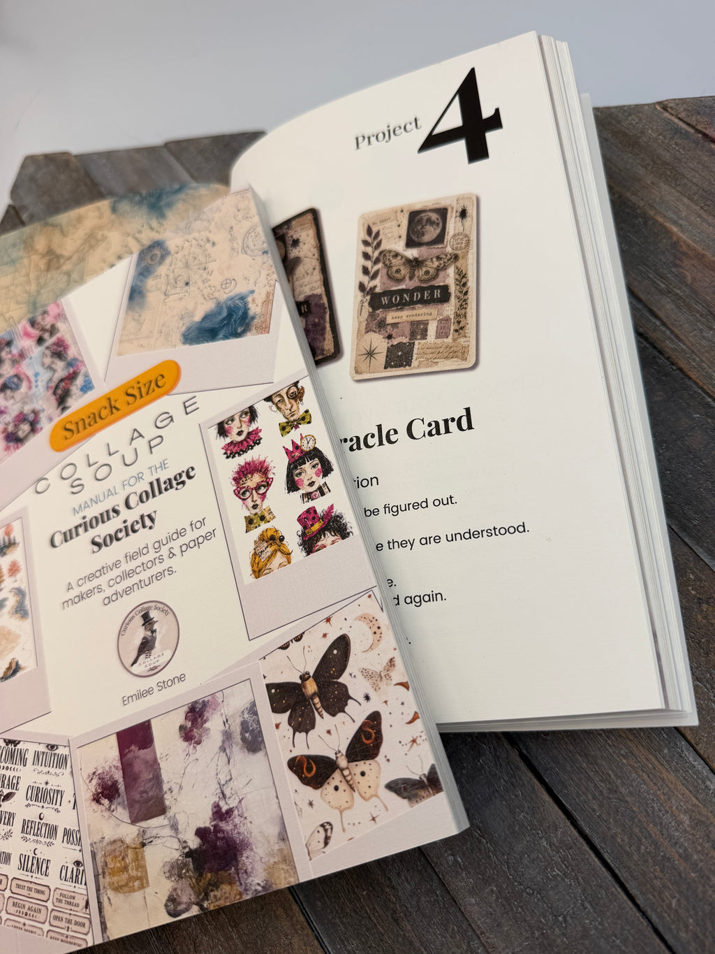 Manual for the Curious Collage Society