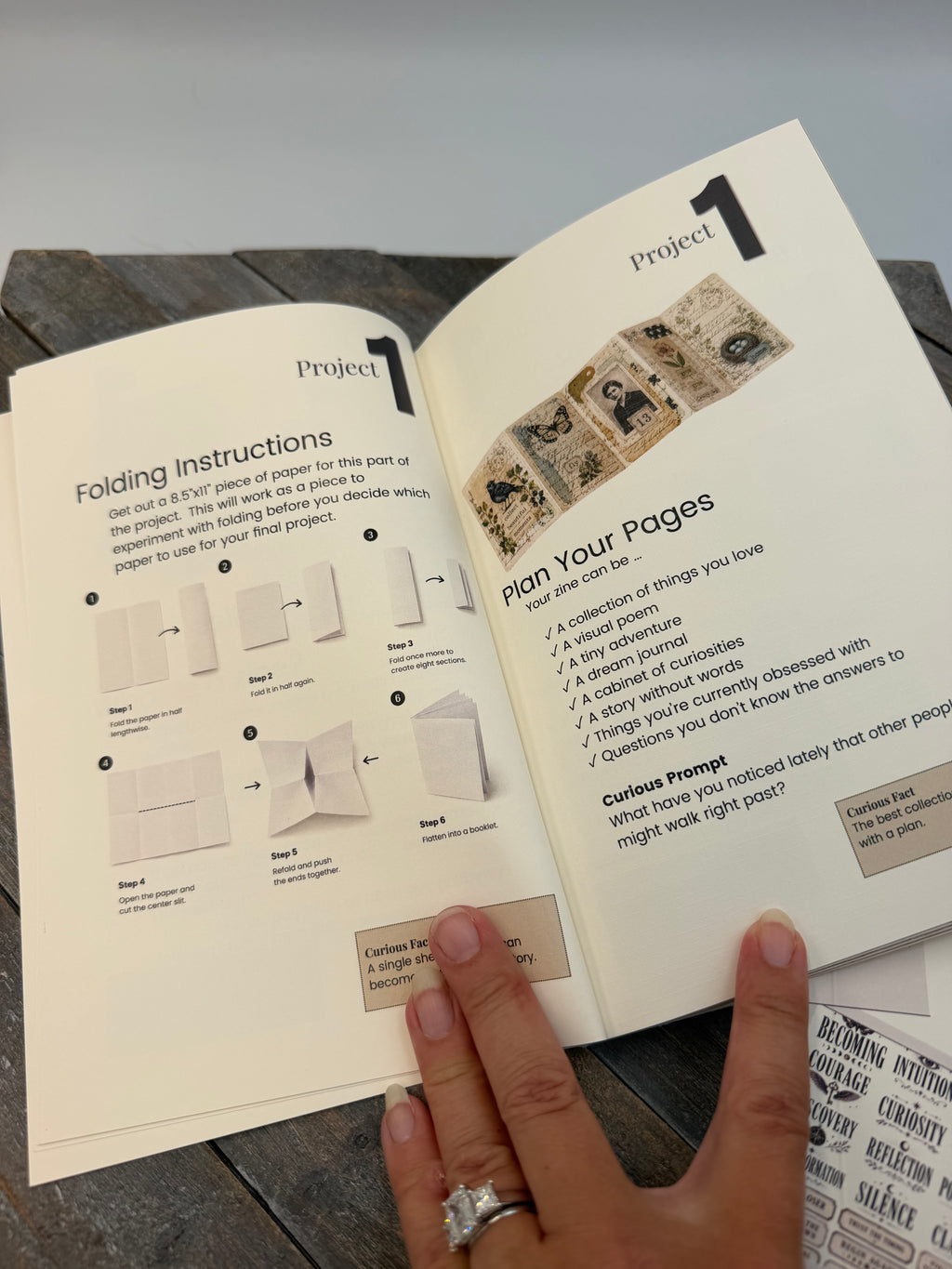 Manual for the Curious Collage Society