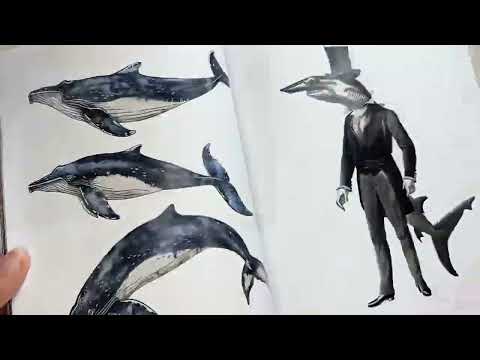 Something’s Fishy Paperback