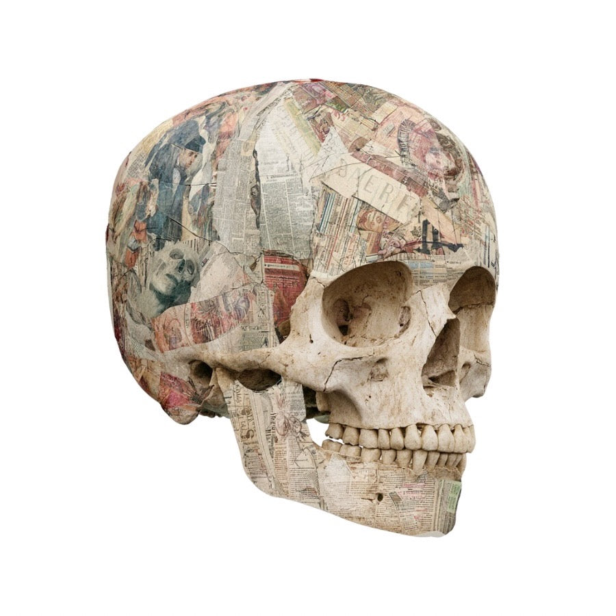 Vellum After Dark Paper Bites — skull covered in vintage newspaper and magazine collage